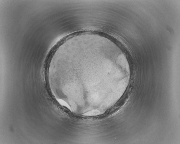 X0000114101022200911161053