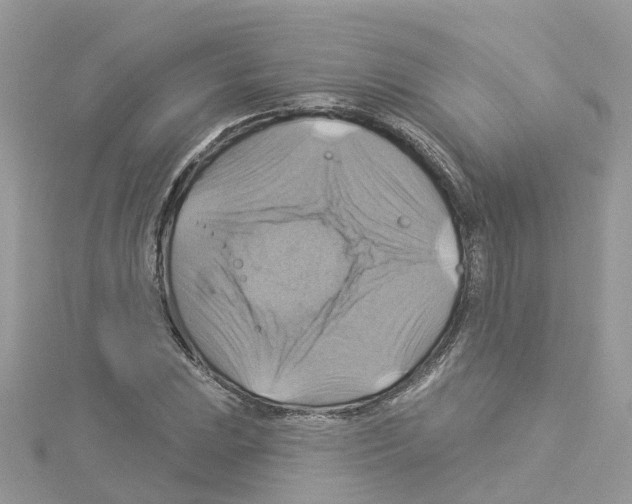 X0000114101023200911161053