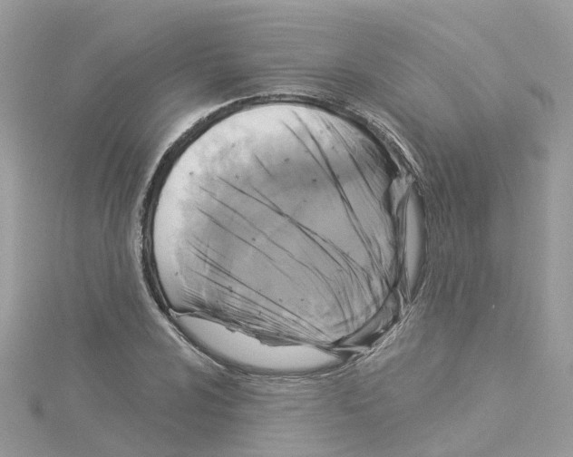 X0000114101024200911161053