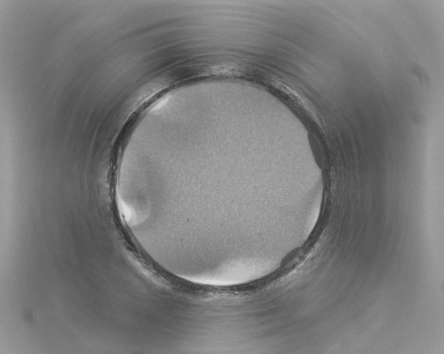 X0000114101026200911161053