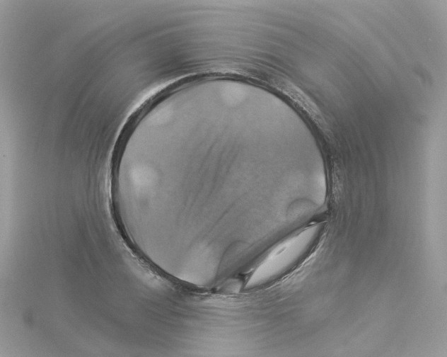 X0000114101028200911161053