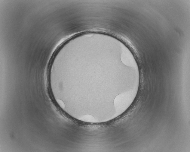 X0000114101032200911161054