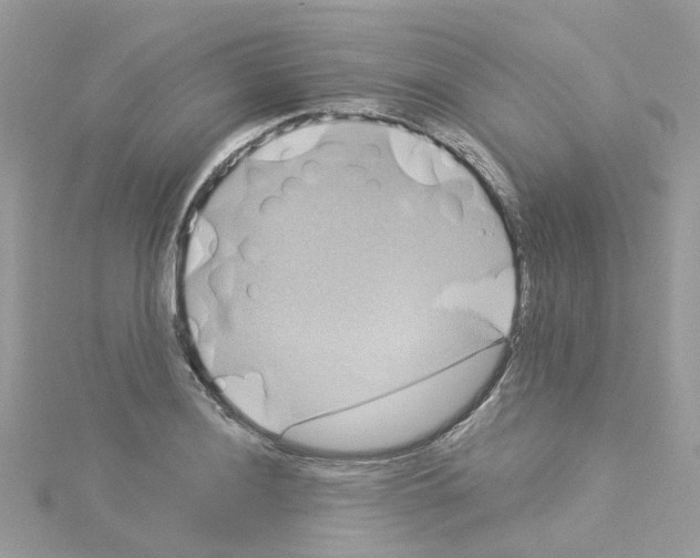 X0000114101036200911161054