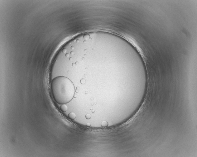 X0000114101040200911161054