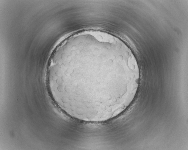 X0000114101044200911161054