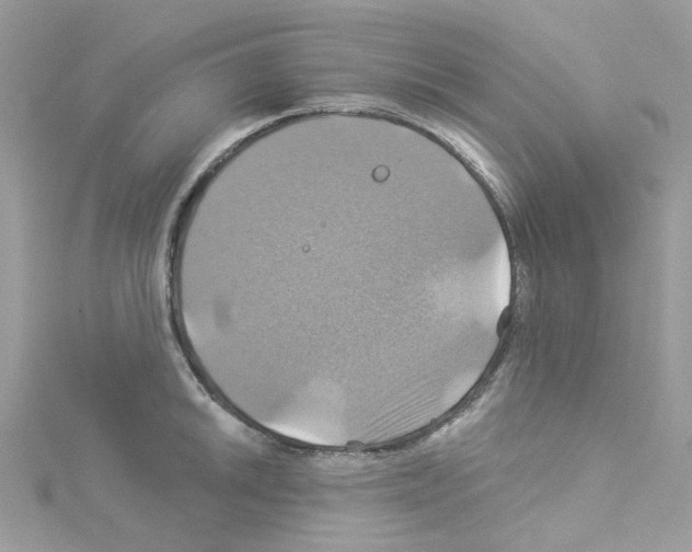 X0000114101046200911161054