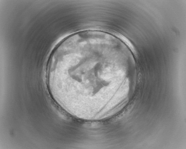 X0000114101051200911161054