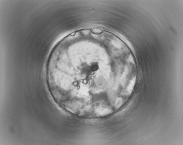 X0000114101053200911161054