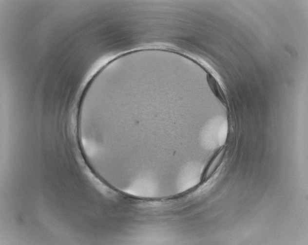 X0000114101054200911161054