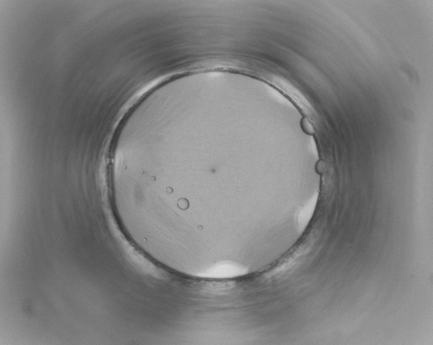 X0000114101055200911161054