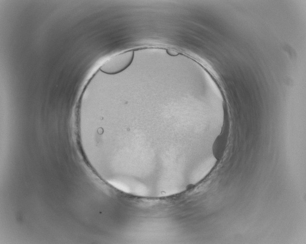 X0000114101056200911161054