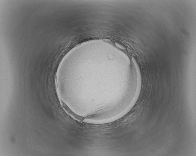 X0000114101057200911161053