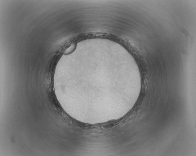 X0000114101062200911161053