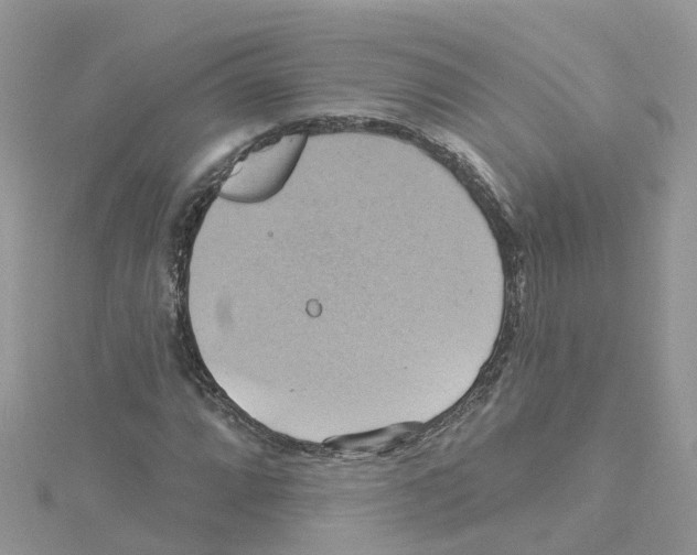 X0000114101064200911161053