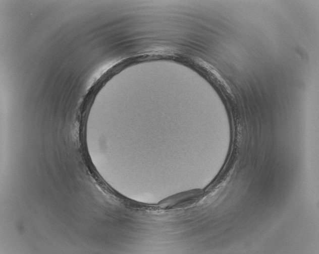 X0000114101066200911161053