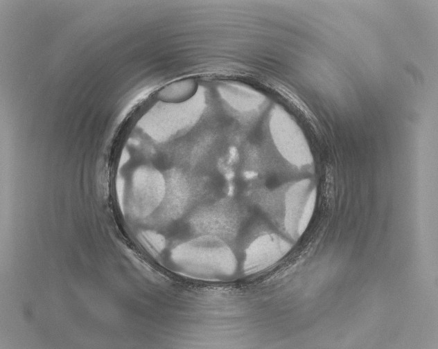 X0000114101067200911161053