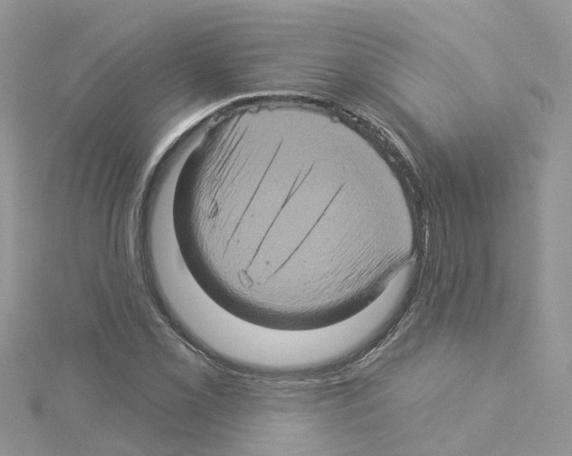 X0000114101069200911161053