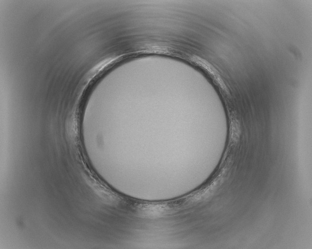 X0000114101074200911161053