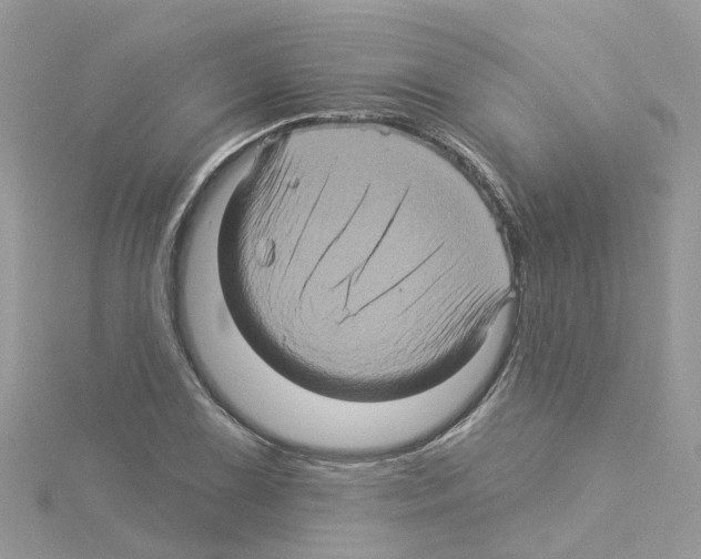 X0000114101075200911161053