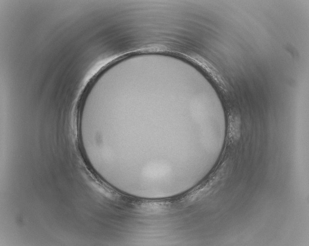 X0000114101078200911161053