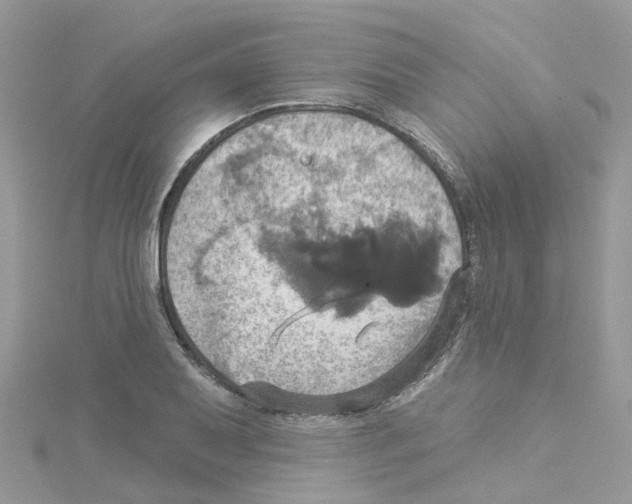 X0000114101079200911161053