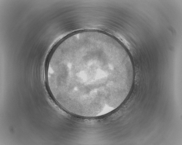 X0000114101080200911161053