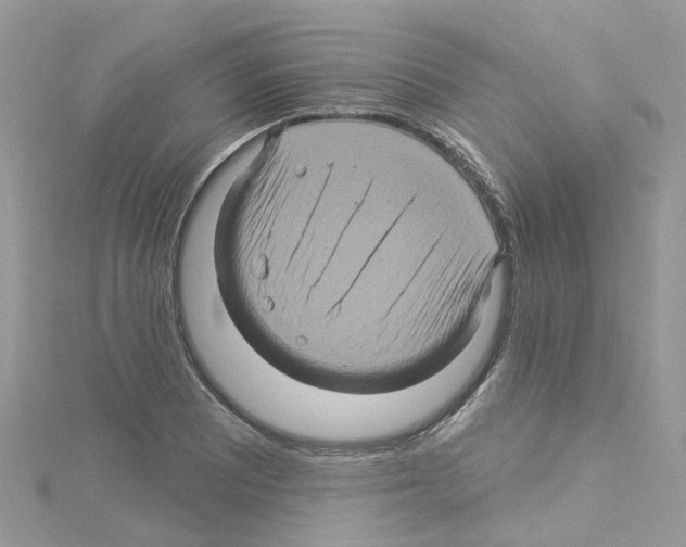 X0000114101081200911161053