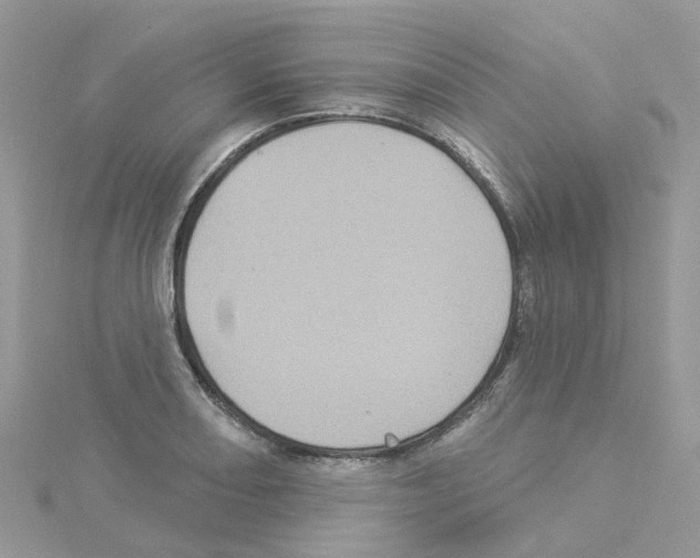 X0000114101082200911161053