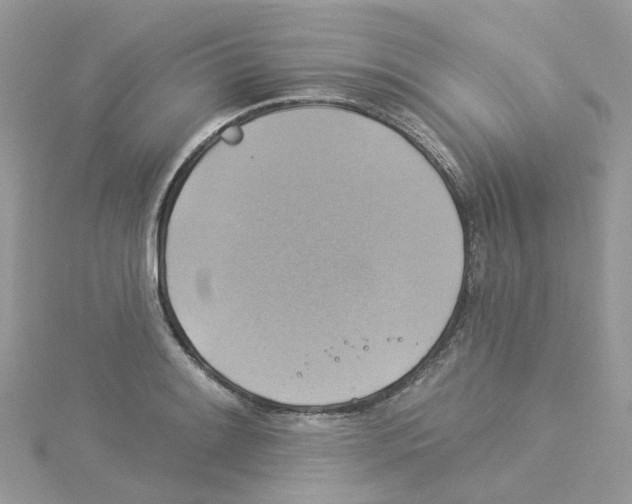 X0000114101084200911161053