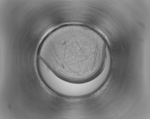 X0000114101085200911161053