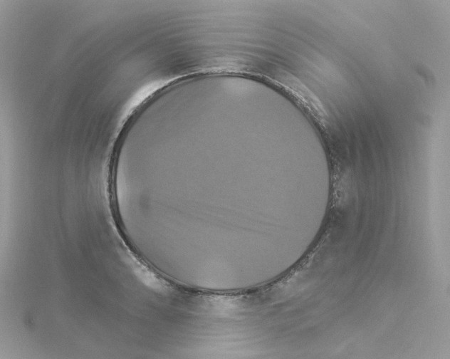 X0000114101086200911161053