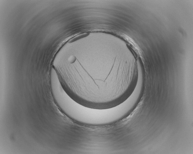 X0000114101089200911161053