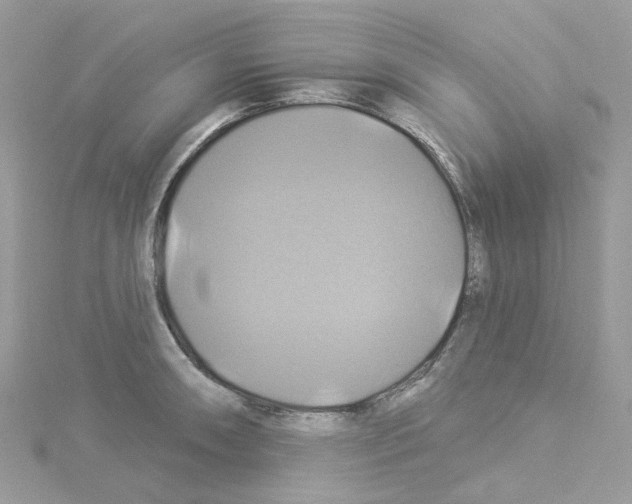 X0000114101090200911161053