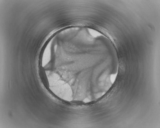 X0000114101091200911161053