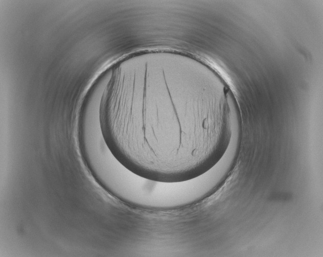 X0000114101093200911161053