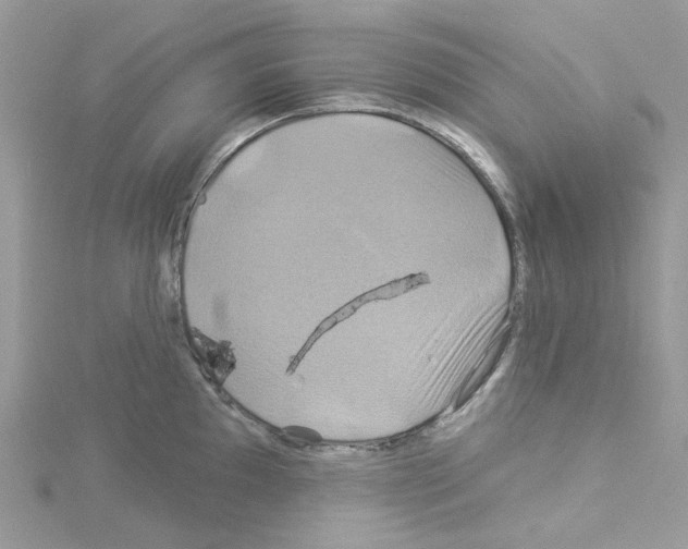 X0000114101097200911161053