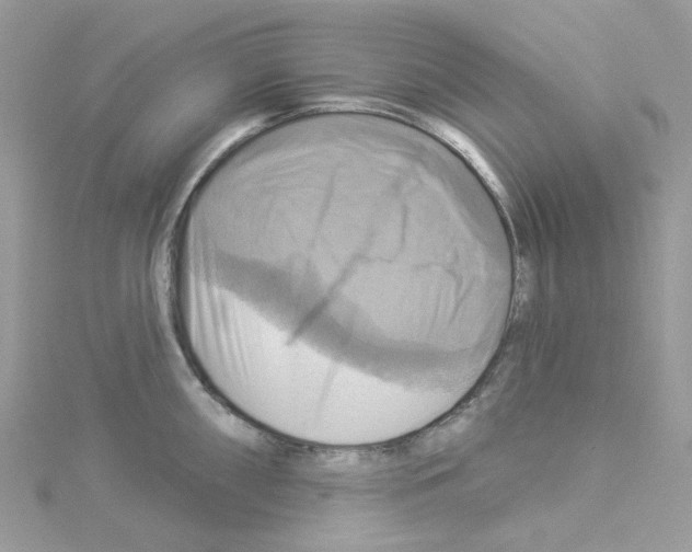 X0000114101098200911161053