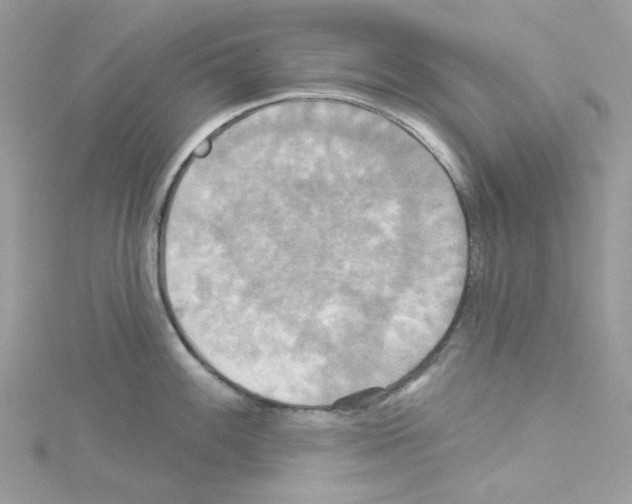 X0000114101100200911161053