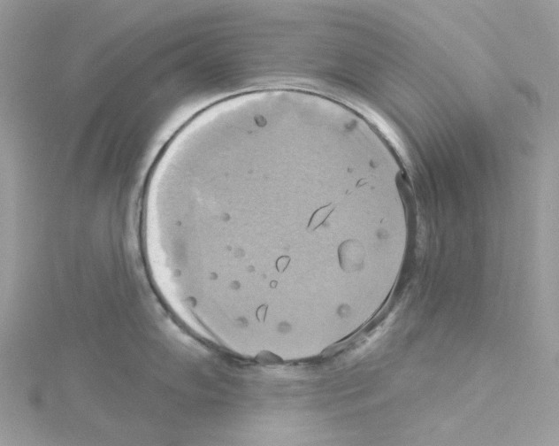 X0000114101102200911161053