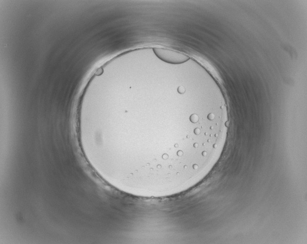 X0000114101104200911161053