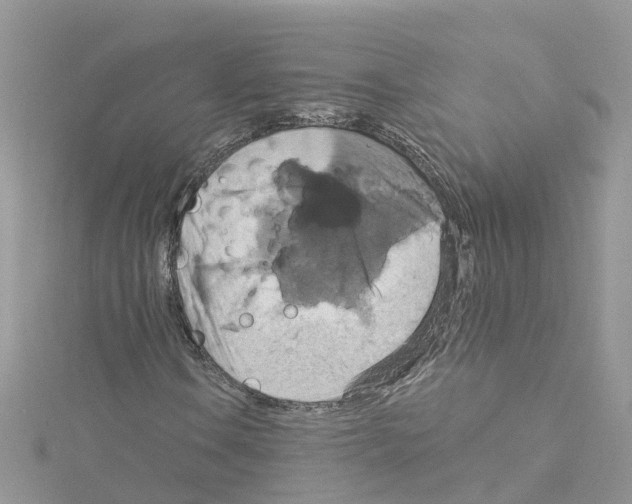 X0000114101106200911161052