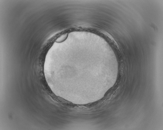 X0000114101112200911161052