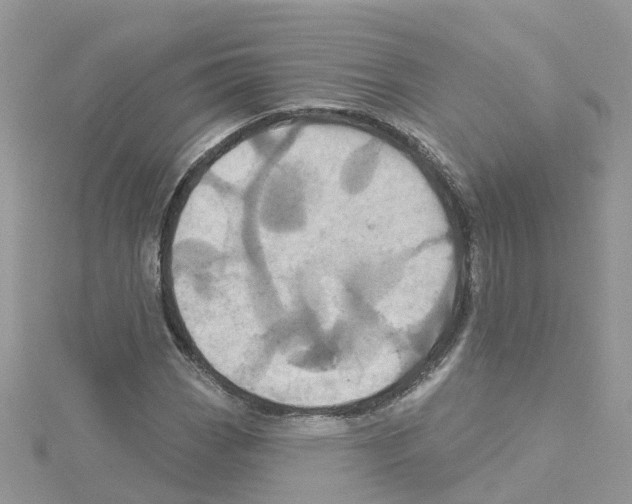 X0000114101113200911161052