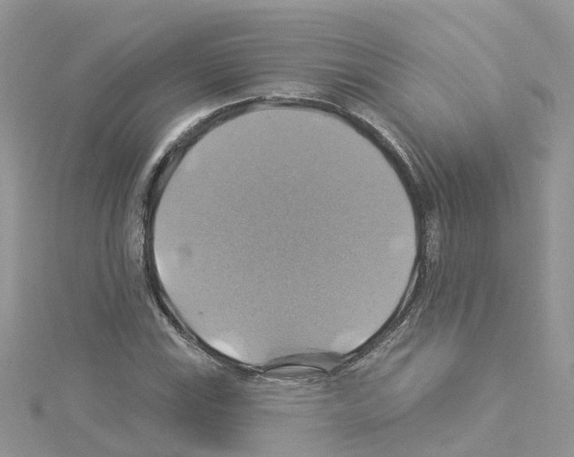 X0000114101115200911161052