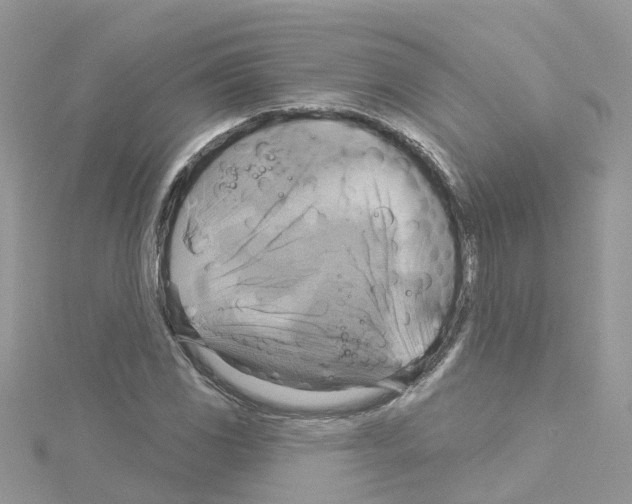 X0000114101117200911161052