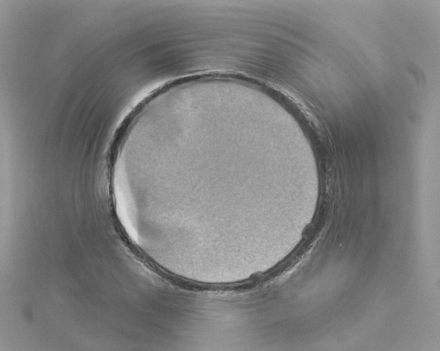 X0000114101118200911161052