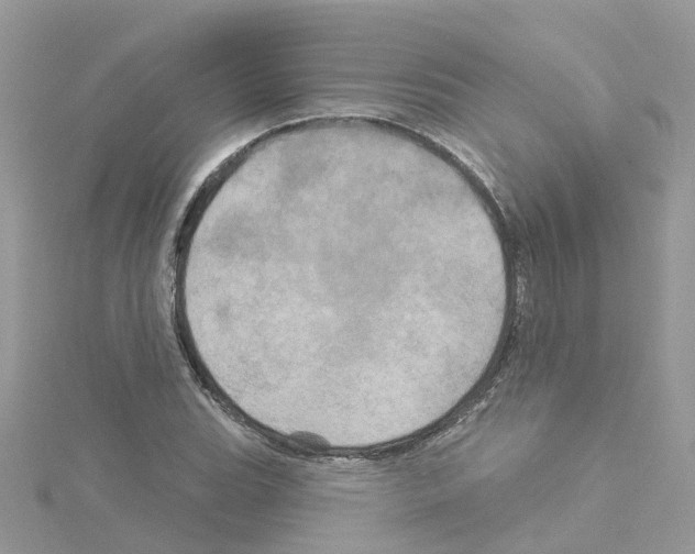 X0000114101119200911161052