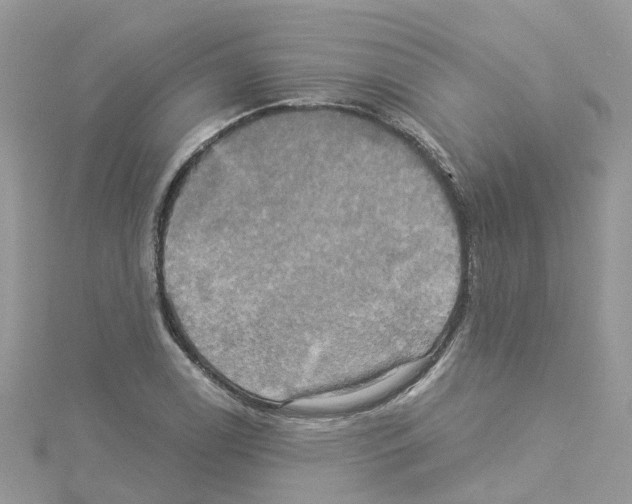 X0000114101122200911161052