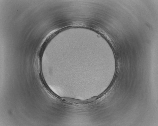 X0000114101123200911161052