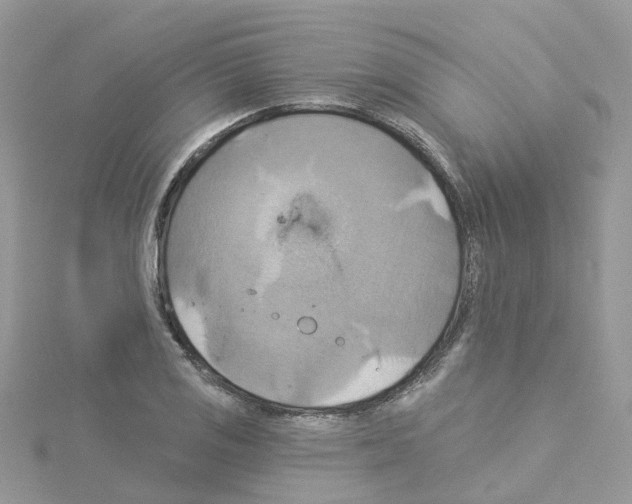 X0000114101125200911161052